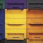 bee-house-290x180