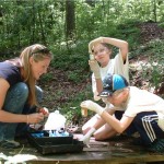 environment protection education