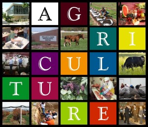 agriculture
