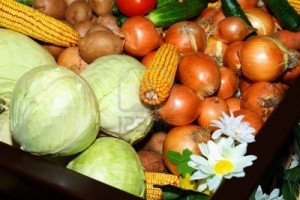 vegetable-production-given-at-an-exhibition-of-an-agriculture